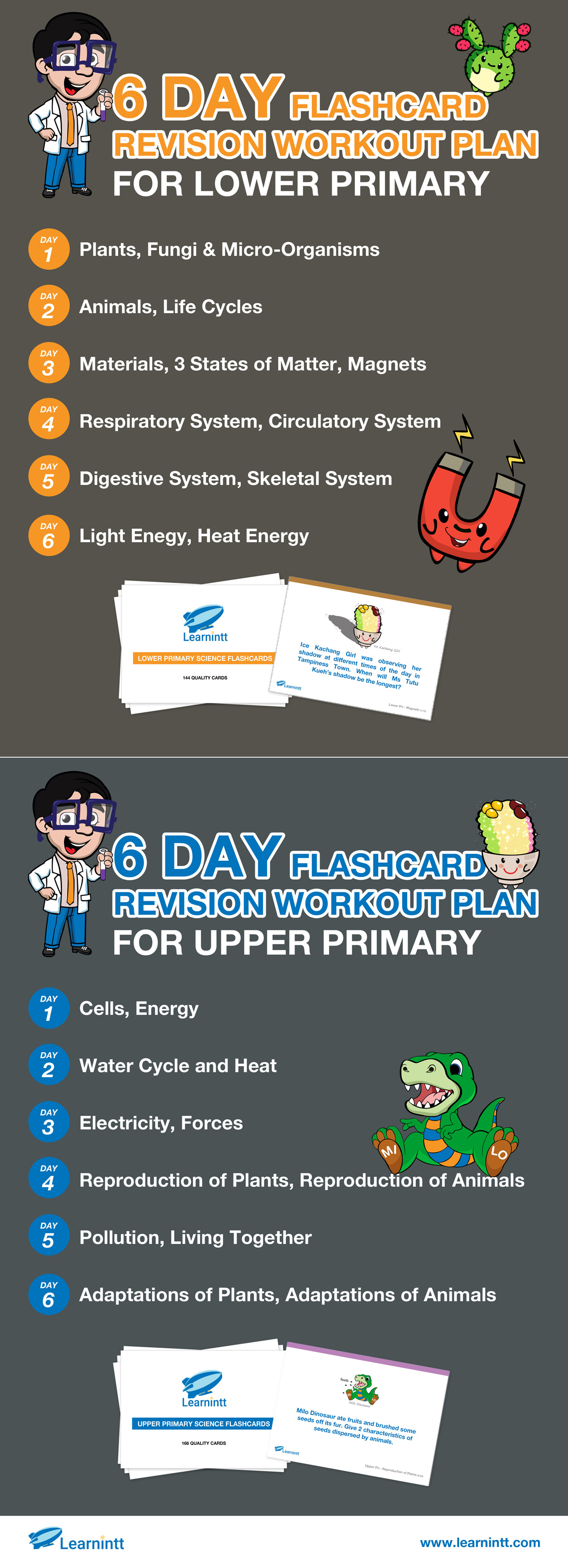 6 days flashcard revision workout plan